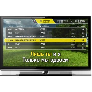 Караоке система Evobox Plus с кейсом и двумя радиомикрофонами