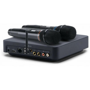 Караоке система Evobox Plus и акустика Turbosound