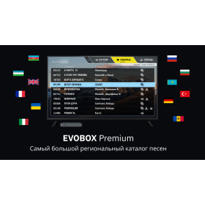Караоке система Evobox Premium