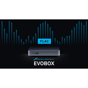 Караоке система Evobox Premium