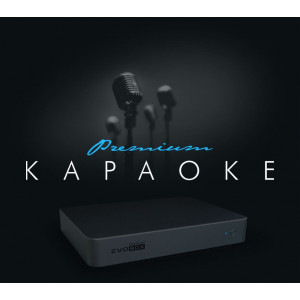 Караоке система Evobox Premium